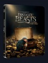 ANIMALI FANTASTICI E DOVE TROVARLI (Ed. Steelbook)