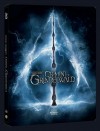 ANIMALI FANTASTICI - I Crimini di Grindelwald (Ed. Stelbook con copertina 3D)