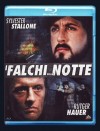 I FALCHI DELLA NOTTE